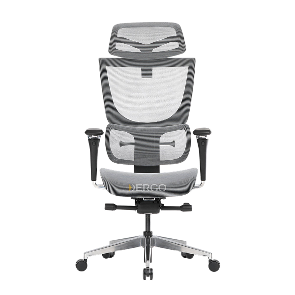 Ghế Ergohuman Pro 2 (test bundle con)