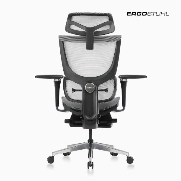 Ghế Ergohuman Pro 2 (test bundle con)