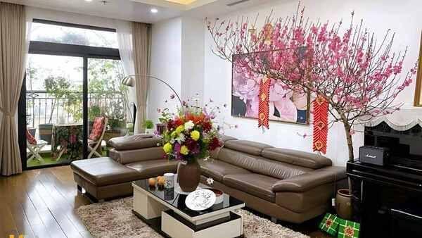Hình ảnh bài viết
