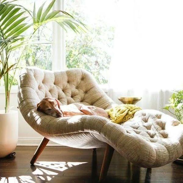 Ghế sofa đọc sách cao cấp, thiết kế hiện đại cho không gian sang trọng