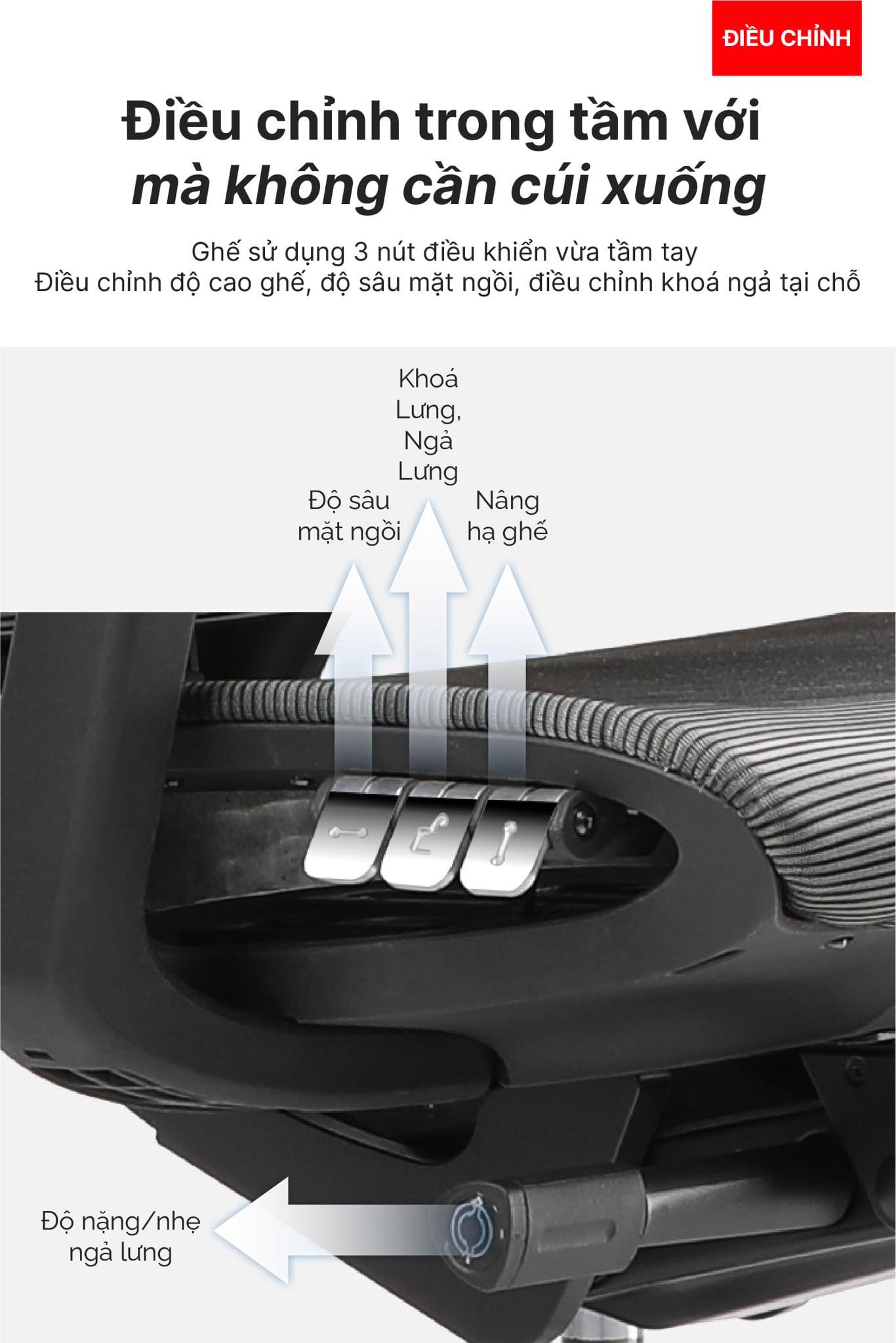 Hình ảnh bài viết