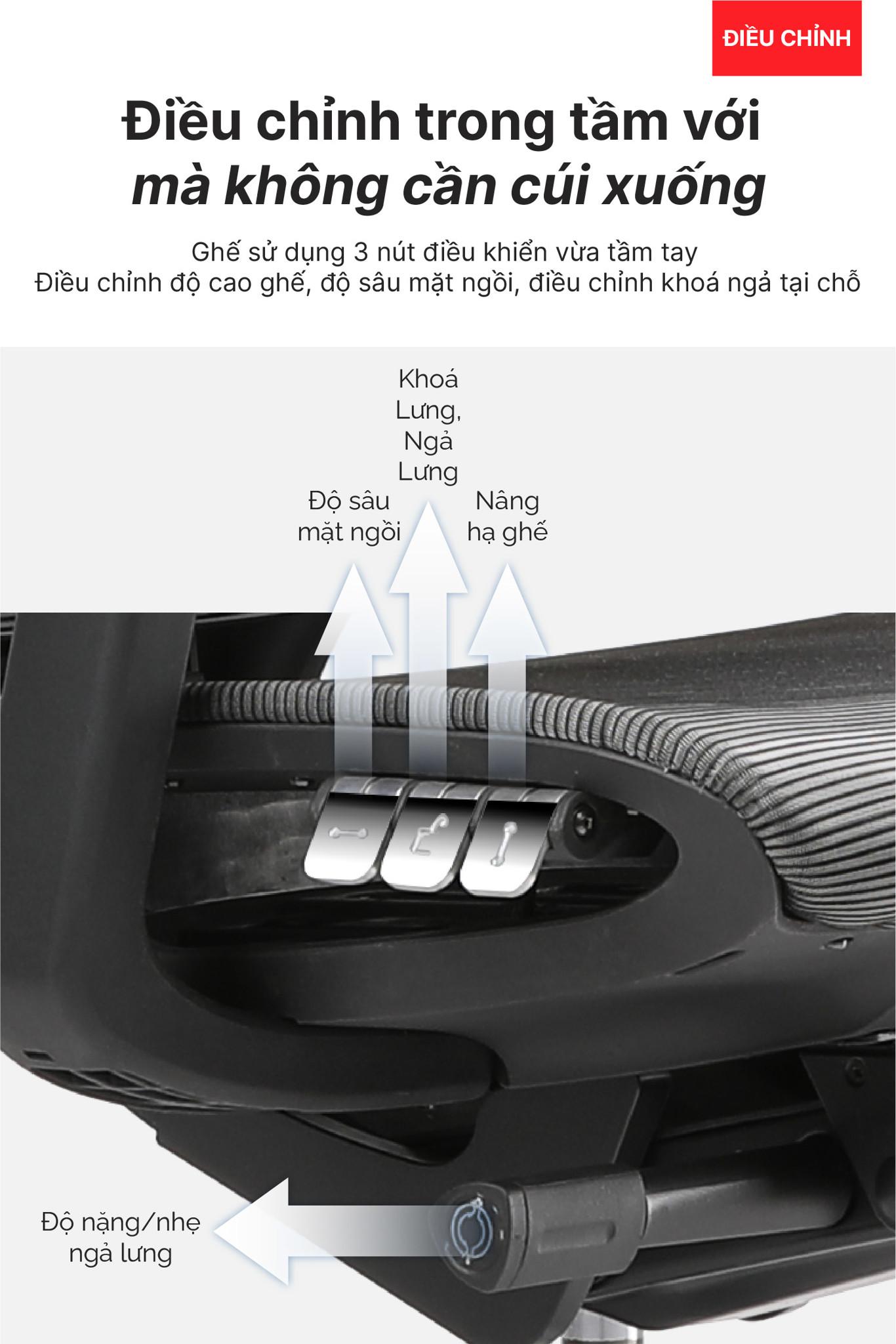 Hình ảnh bài viết