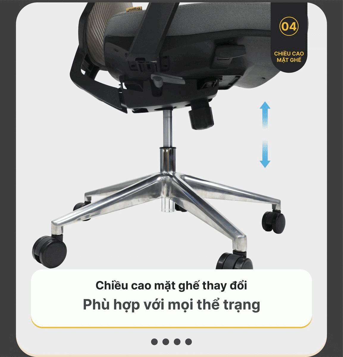 Hình ảnh bài viết