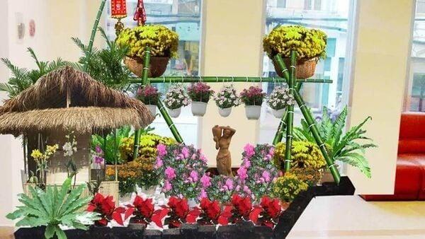 Hình ảnh bài viết