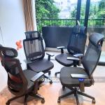 KH: Đức Nguyễn (TP.HCM)- Ghế công thái học T23