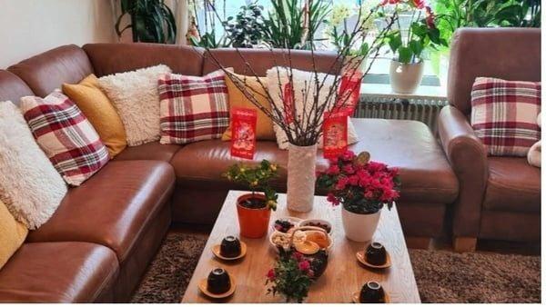 Hình ảnh bài viết