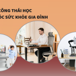 Bảo vệ cột sống cho cả gia đình với trọn bộ giải pháp công thái học đến từ DERGO