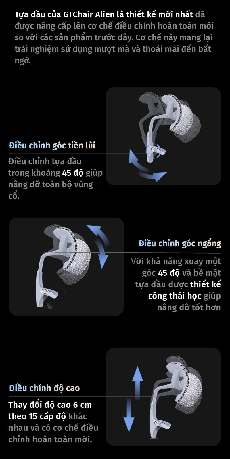 Hình ảnh bài viết