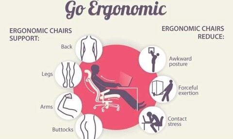 Ergonomics la gi