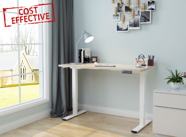 Bàn làm việc đứng Flexispot (Premium - 3 Stages) - EC5