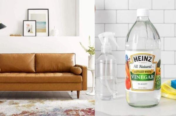 Bề mặt da của sofa được làm sạch nhẹ nhàng với giấm trắng