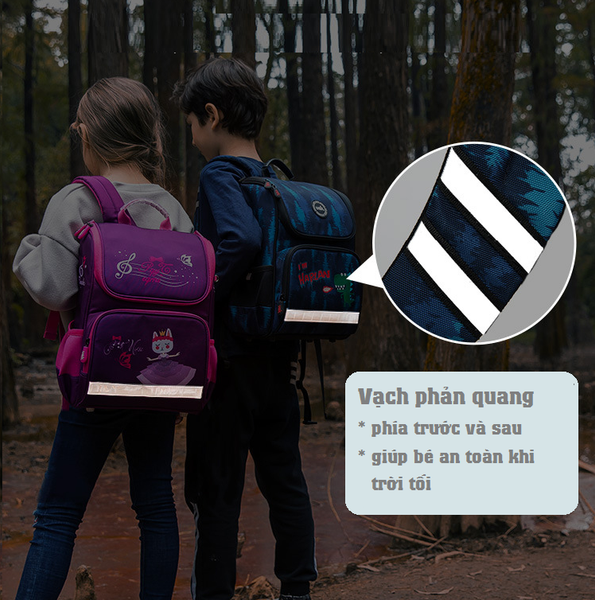 Hình ảnh bài viết