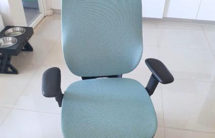 KH: Lê Ngọc Hiếu (TP.HCM)- Ghế công thái học Amara M06