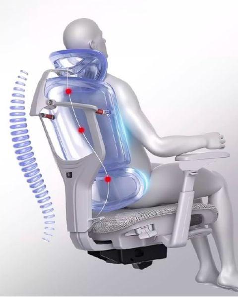 Các tiêu chuẩn công thái học đã được chứng minh có tác dụng hỗ trợ sức khỏe cột sống
