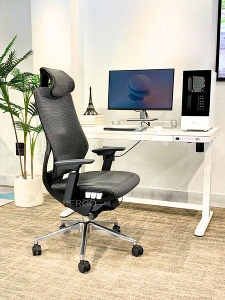 Ghế công thái học giúp giữ tư thế chuẩn và giảm đau mỏi khi ngồi lâu