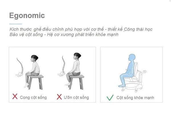 Hình ảnh bài viết