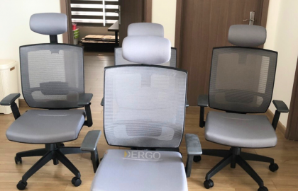 KH: Nguyễn Hồng Ngọc (Phú Thọ) - Ghế công thái học Velar X04H NL