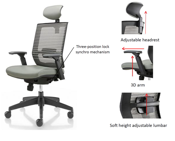D'Ergo cung cấp ghế lưới văn phòng chất lượng
