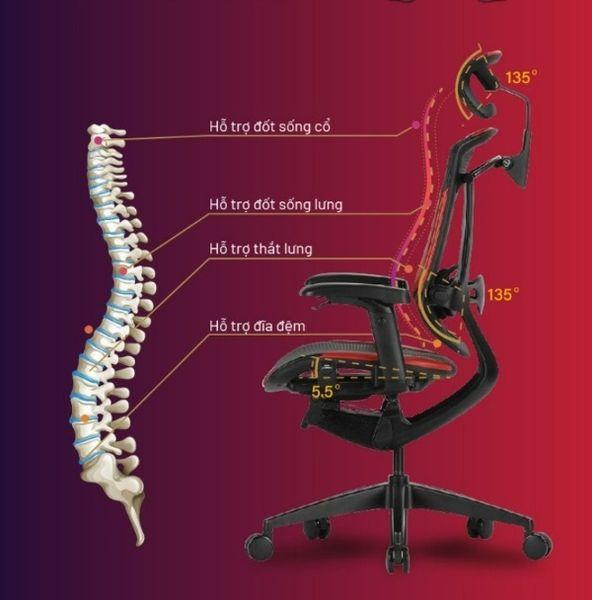 Ghế công thái học hiện nay có tính năng nâng đỡ toàn diện vùng xương sống, xương chậu, mông đùi, mang lại cảm giác dễ chịu dù có ngồi lâu