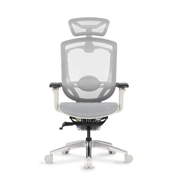 Ghế công thái học GTChair Marrit X Grey-White Frame