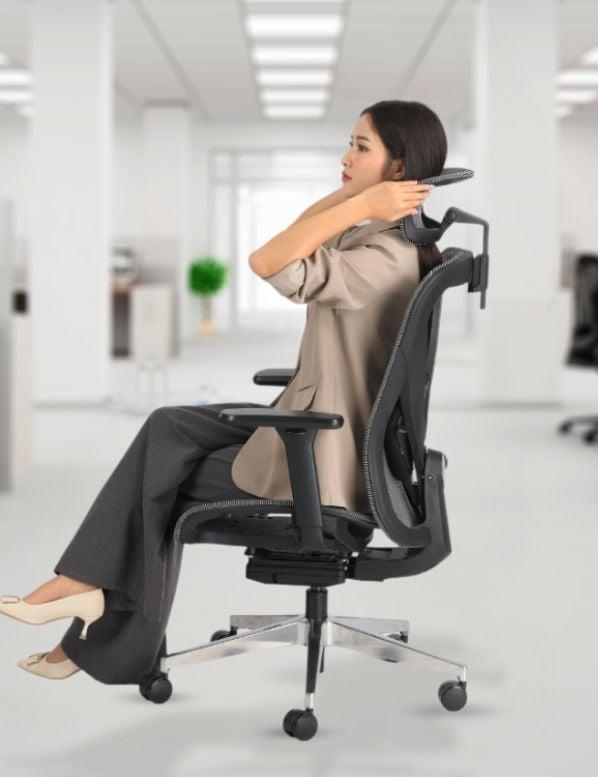 Ghế Công Thái Học Ergonomic ErgoStuhl Q1
