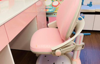 KH: Phạm Diễm (Bình Phước) - Ghế chống gù Hanover C02