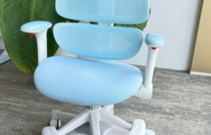 KH: Đặng Trà Mỹ (Cần Thơ)- Ghế chống gù iSmart Miller M1