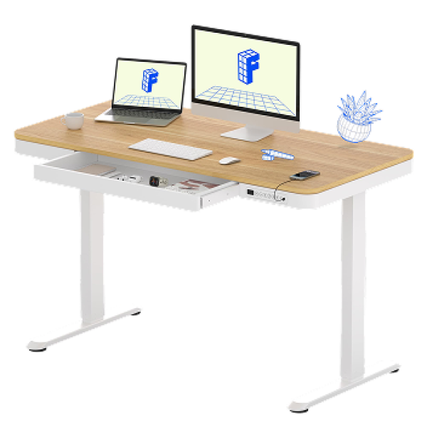 Bàn nâng hạ FlexiDesk (test bundle con)