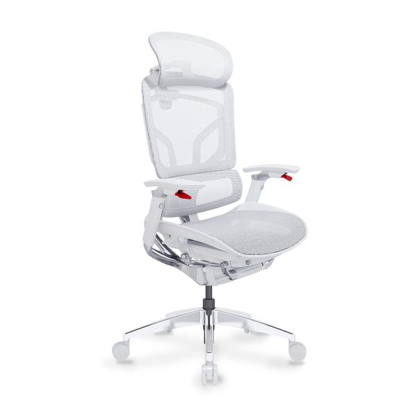 Ghế Công Thái Học Ergonomic GTChair Alien Space Grey (test FLS + bundle)