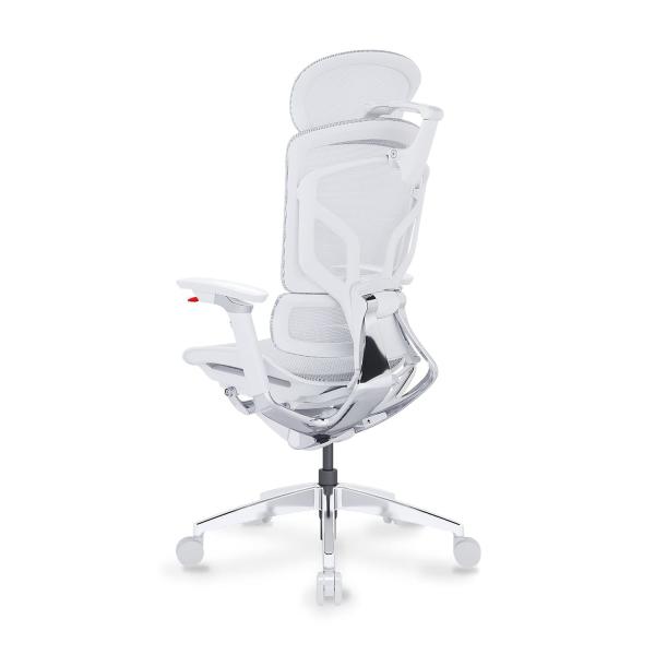 Ghế Công Thái Học Ergonomic GTChair Alien Space Grey (test FLS + bundle)