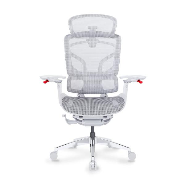 Ghế Công Thái Học Ergonomic GTChair Alien Space Grey (test FLS + bundle)